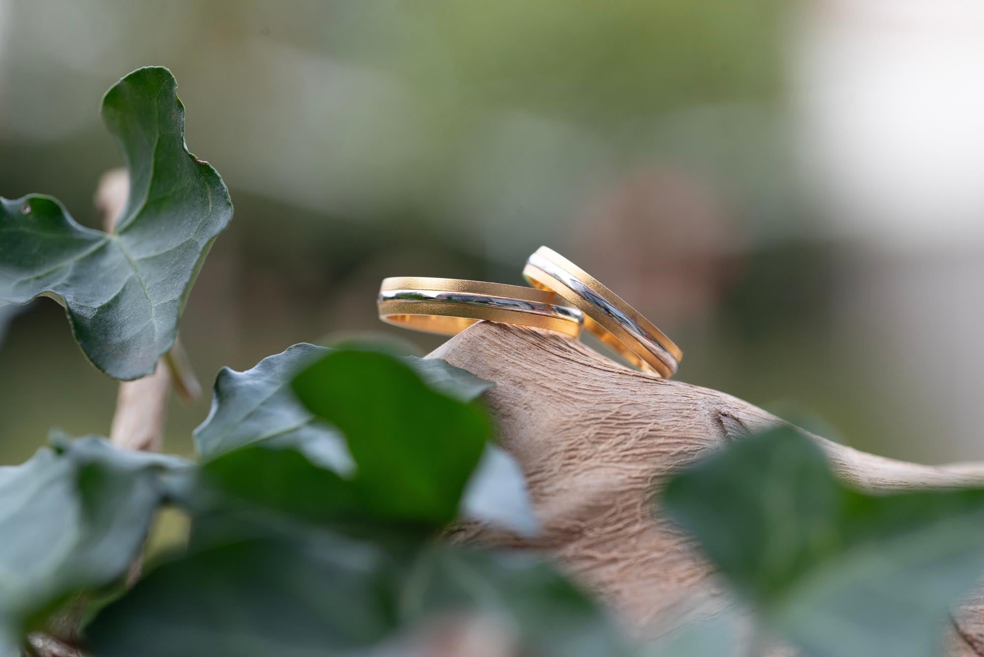 trouwringen in geel en wit goud ijsgemateerd